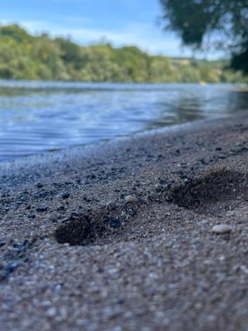 La Sequana Hotel Moisson Kültér fotó